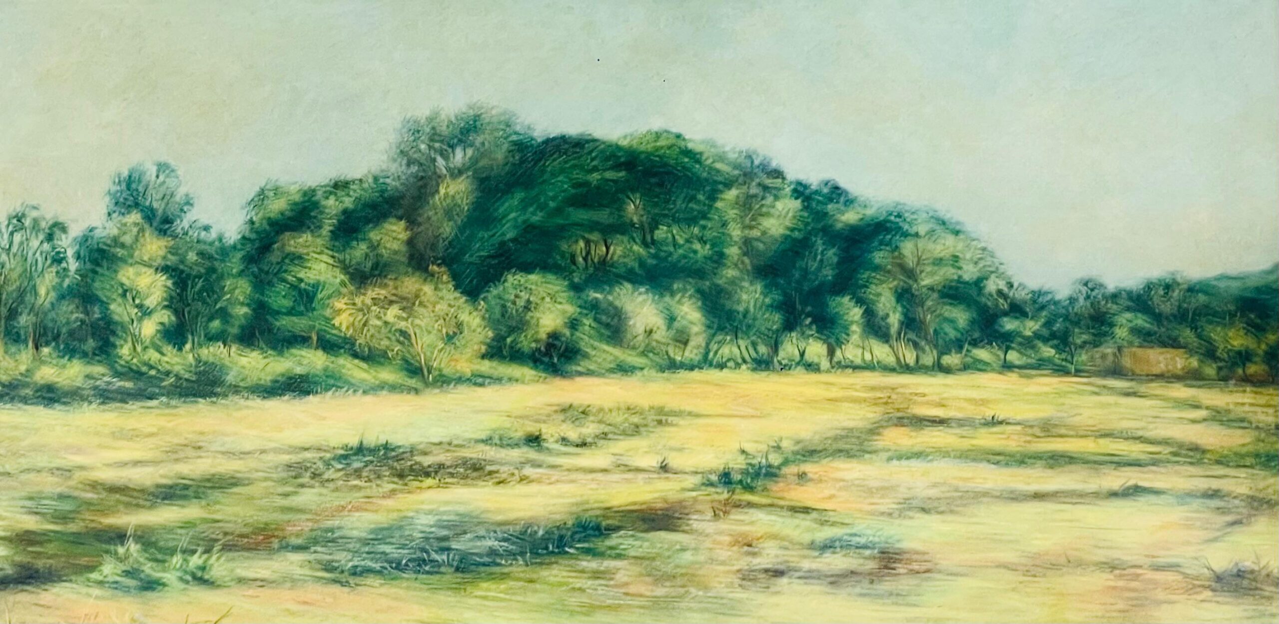 Landscape