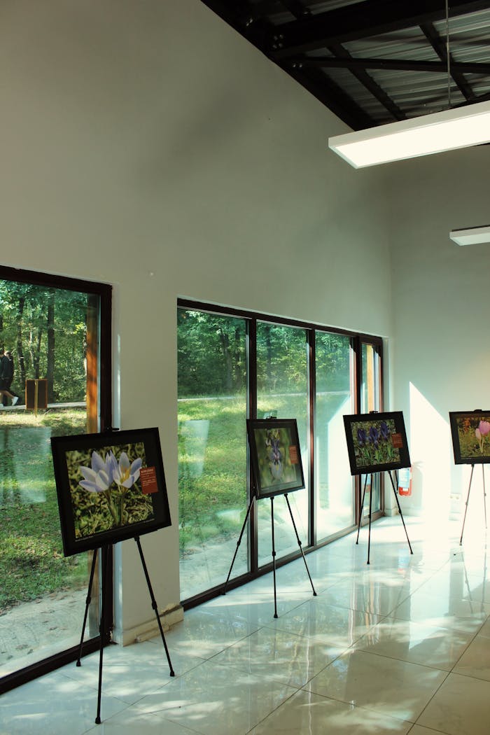 Well-lit modern art gallery featuring nature paintings on easels by large windows.